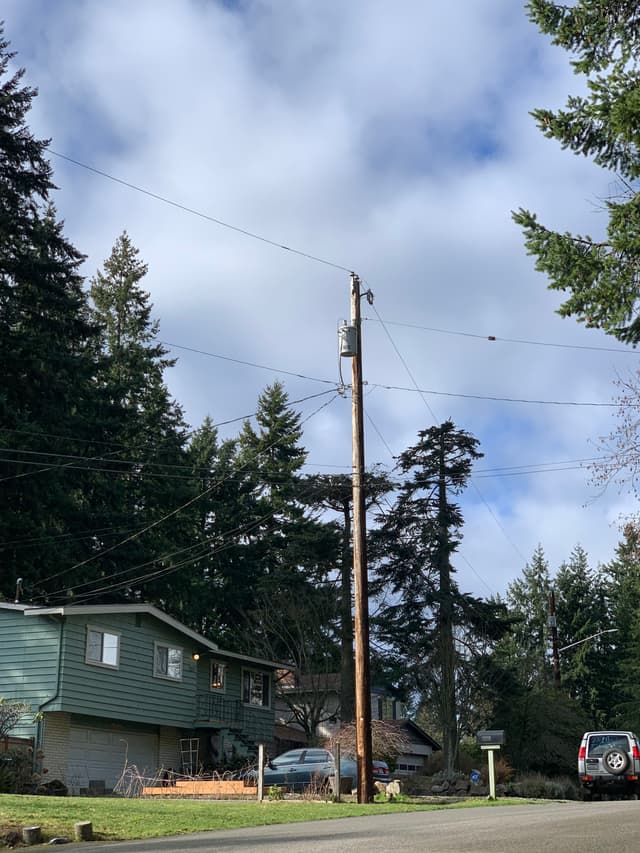 A suburban street with a green house, tall trees, a utility pole with wires, and a cloudy sky
