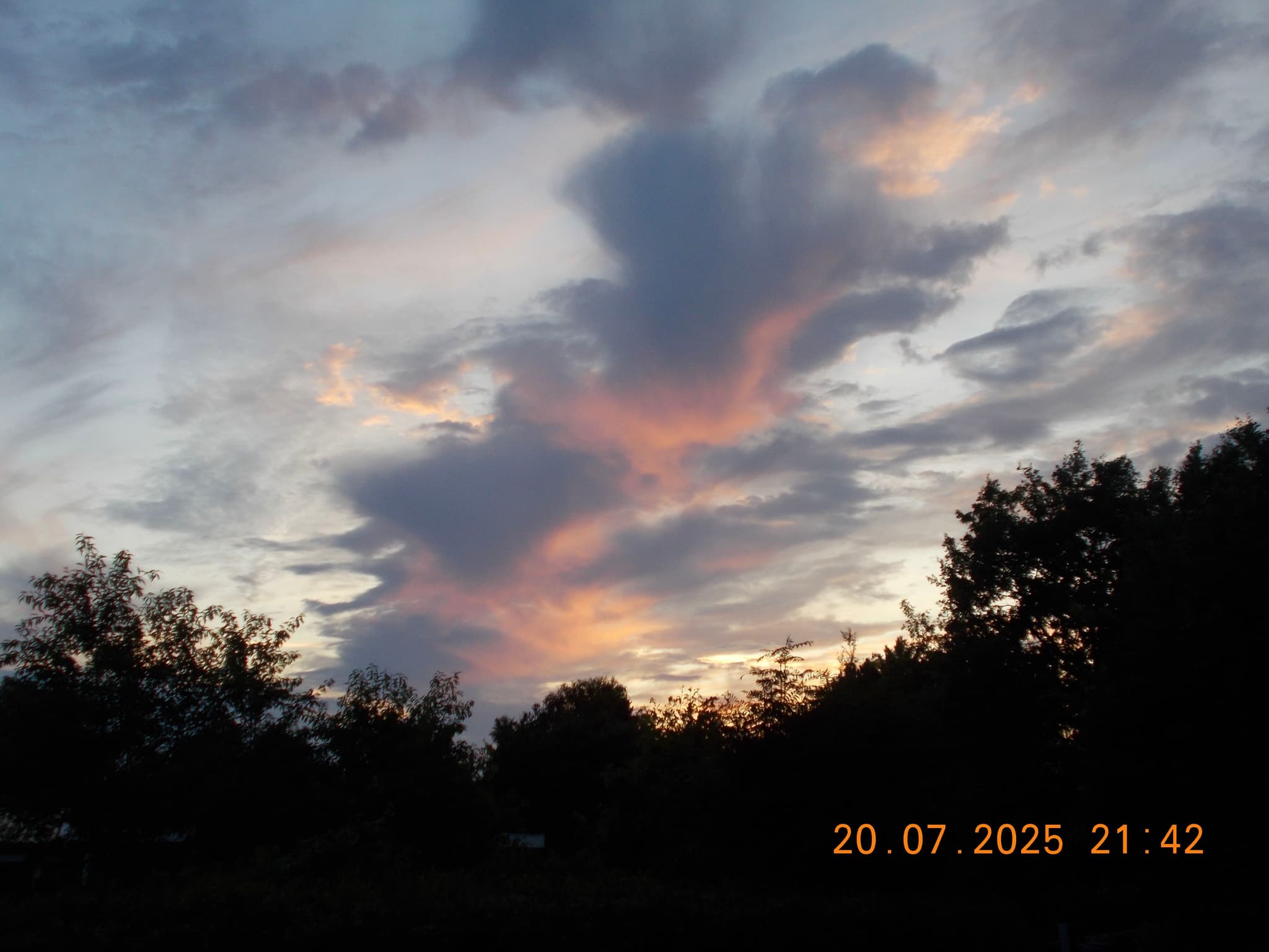 A colorful sunset with dramatic clouds and silhouetted trees, featuring a date and time stamp at the bottom