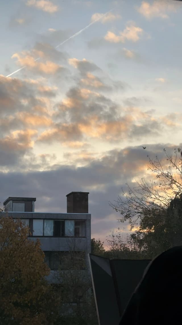 A building with large windows and a chimney is set against a backdrop of a colorful sky with scattered clouds and a contrail. Trees with autumn foliage are visible in the foreground