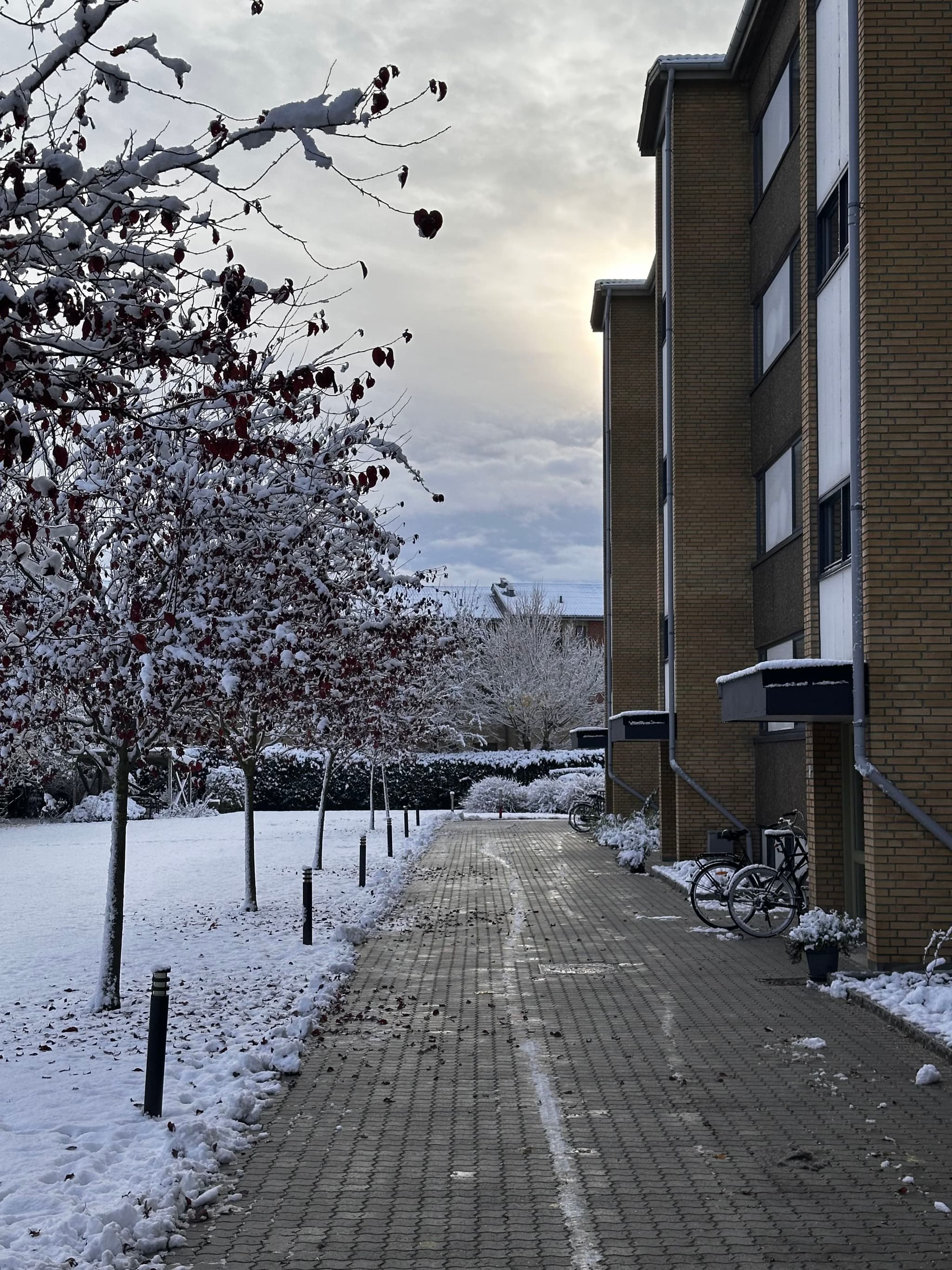 A snow-covered pathway runs alongside a brick building, with trees on the left and bicycles parked near the entrance. The sky is overcast, creating a serene winter scene