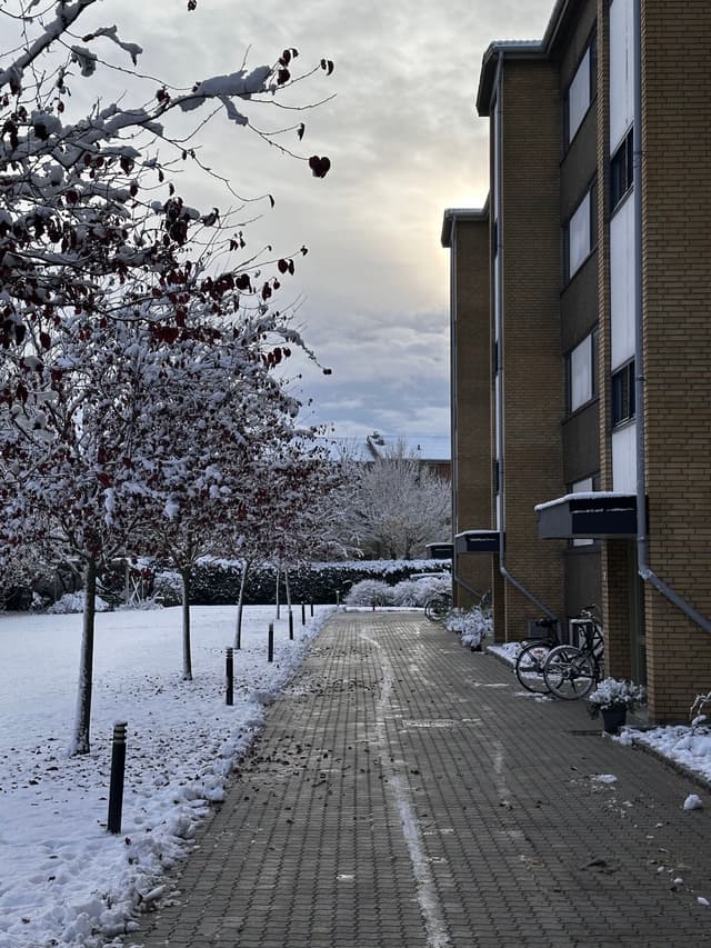 A snow-covered pathway runs alongside a brick building, with trees on the left and bicycles parked near the entrance. The sky is overcast, creating a serene winter scene