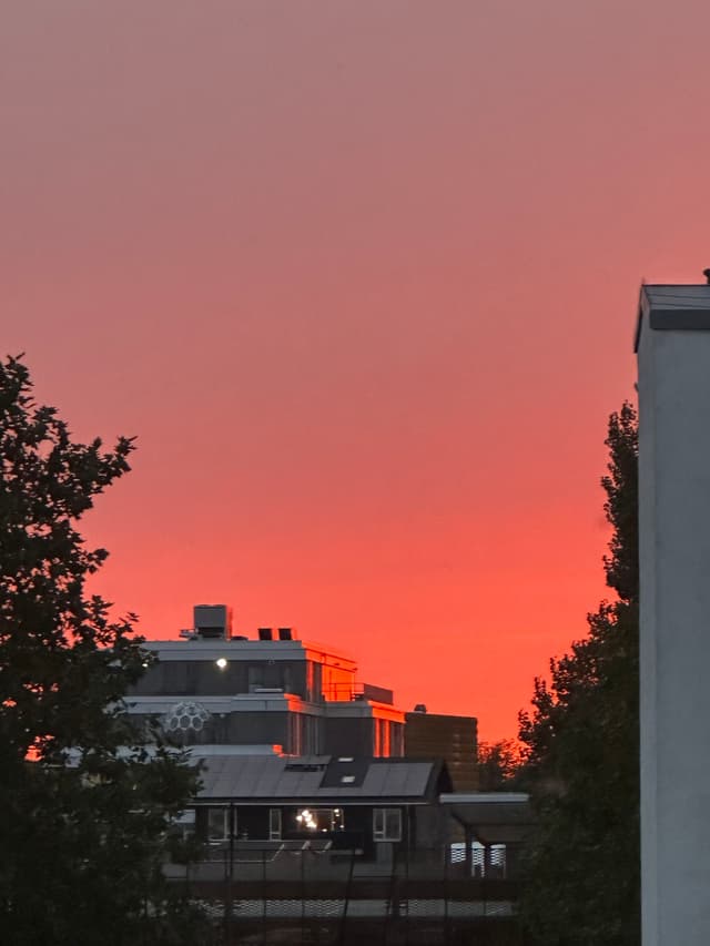 A vibrant red and orange sunset over a cityscape, with silhouetted buildings and trees