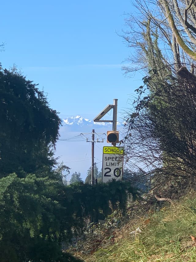 A speed limit sign reading 20 is partially obscured by foliage, with a clear blue sky and distant snow-capped mountains in the background